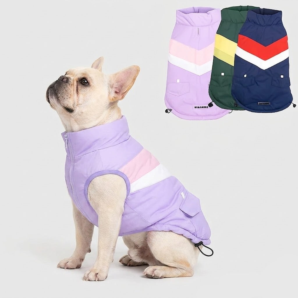 French-Bulldog-Windproof-Padded-Winter-Coat.jpg