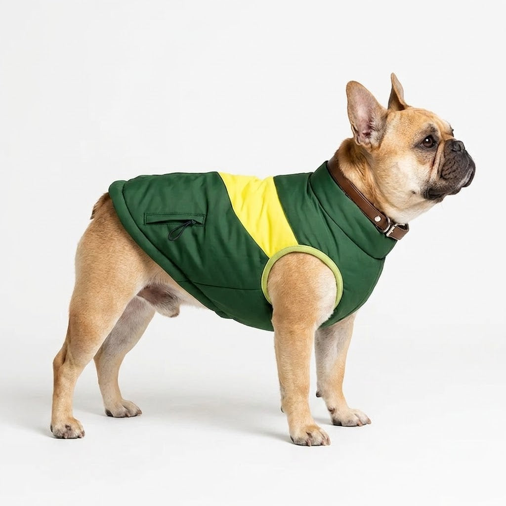 French-Bulldog-Windproof-Padded-Winter-Coat.jpg