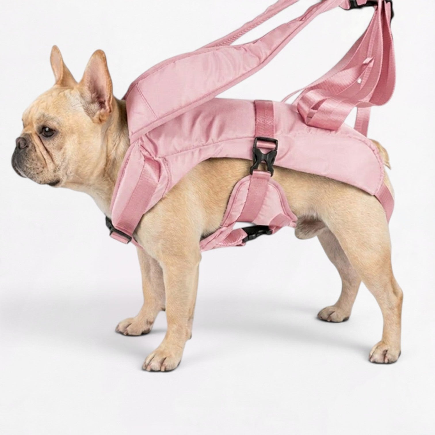 French-Front-Facing-Dog-Carrier-Backpack.jpg