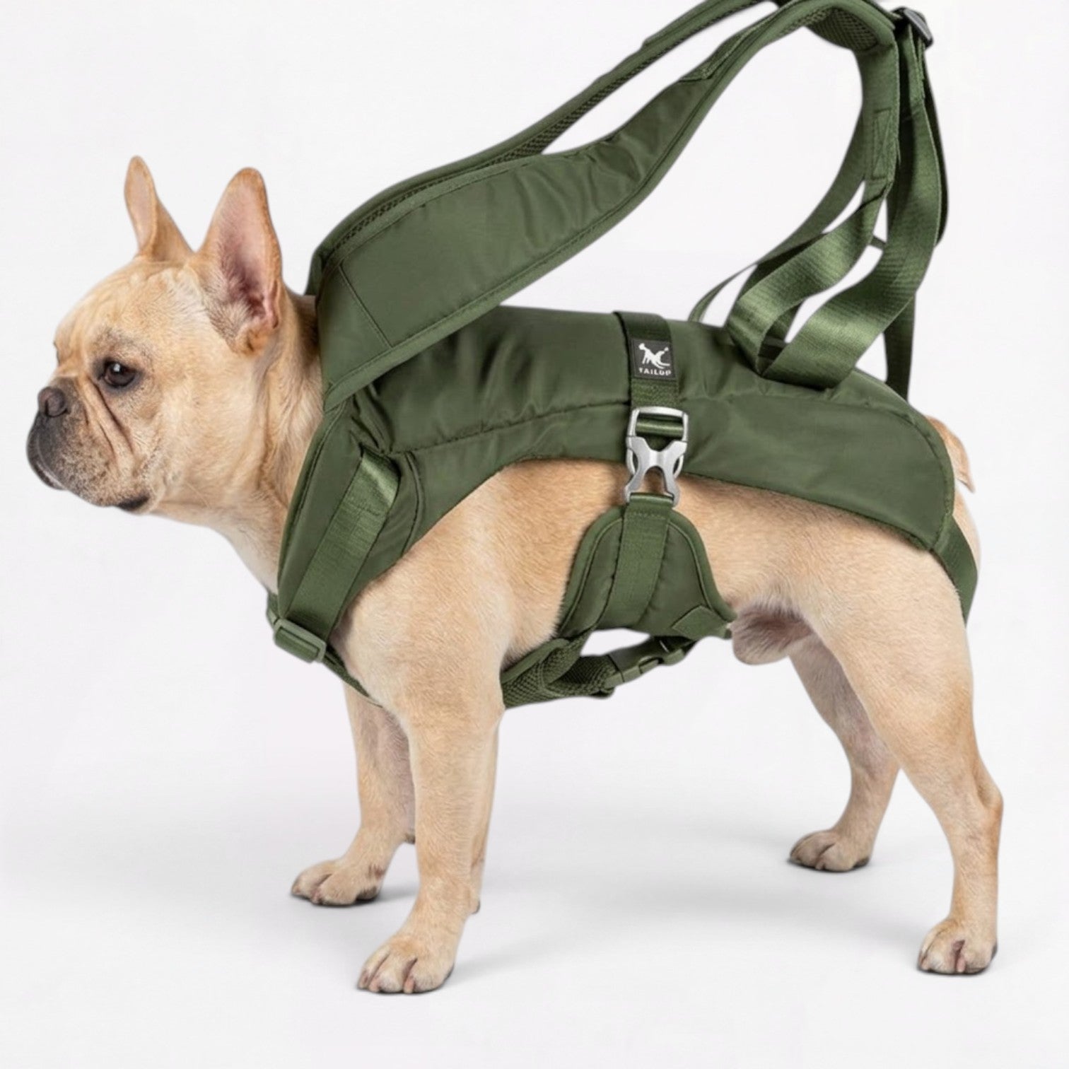 French-Front-Facing-Dog-Carrier-Backpack.jpg