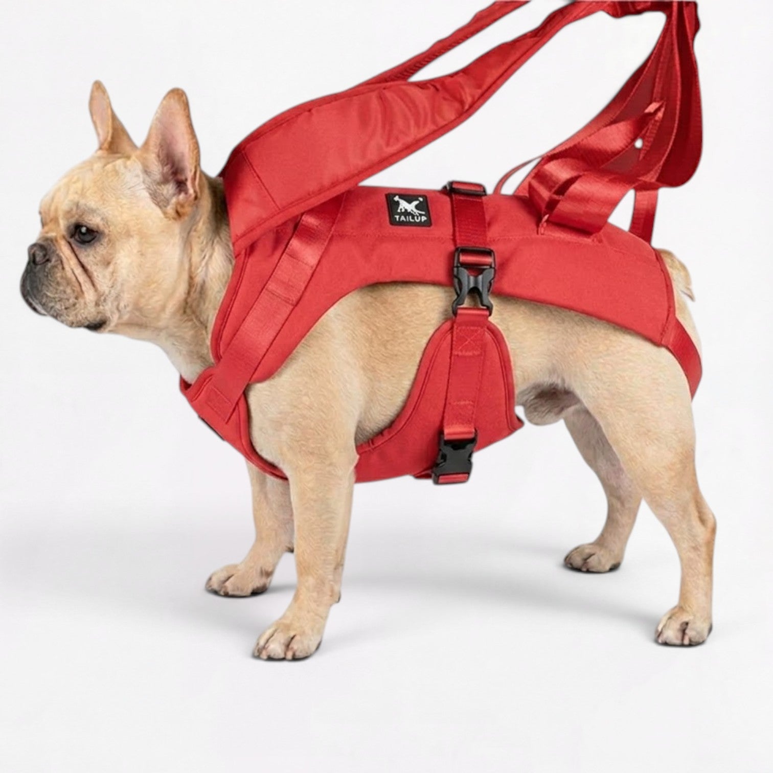 French-Front-Facing-Dog-Carrier-Backpack.jpg