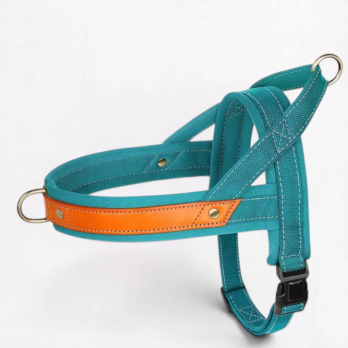 Frenchie-Premium-No-Pull-Harness-Collar-Leash-Set.jpg