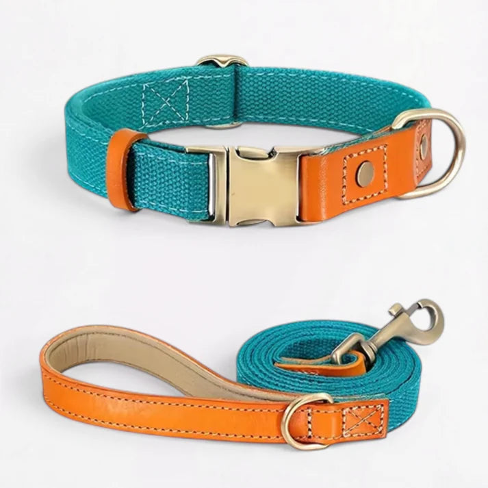 Frenchie-Premium-No-Pull-Harness-Collar-Leash-Set.jpg