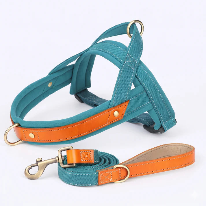 Frenchie-Premium-No-Pull-Harness-Collar-Leash-Set.jpg