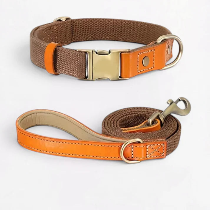 Frenchie-Premium-No-Pull-Harness-Collar-Leash-Set.jpg