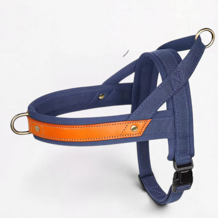 Frenchie-Premium-No-Pull-Harness-Collar-Leash-Set.jpg