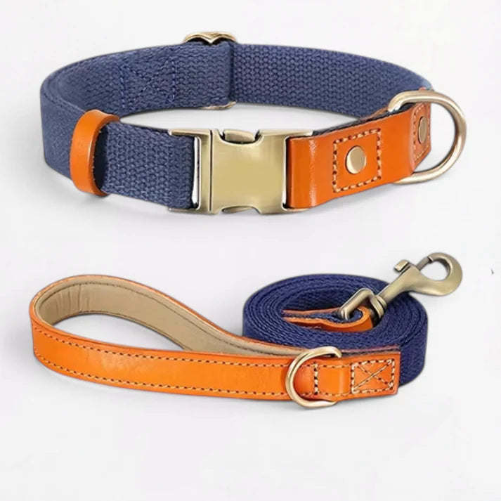 Frenchie-Premium-No-Pull-Harness-Collar-Leash-Set.jpg