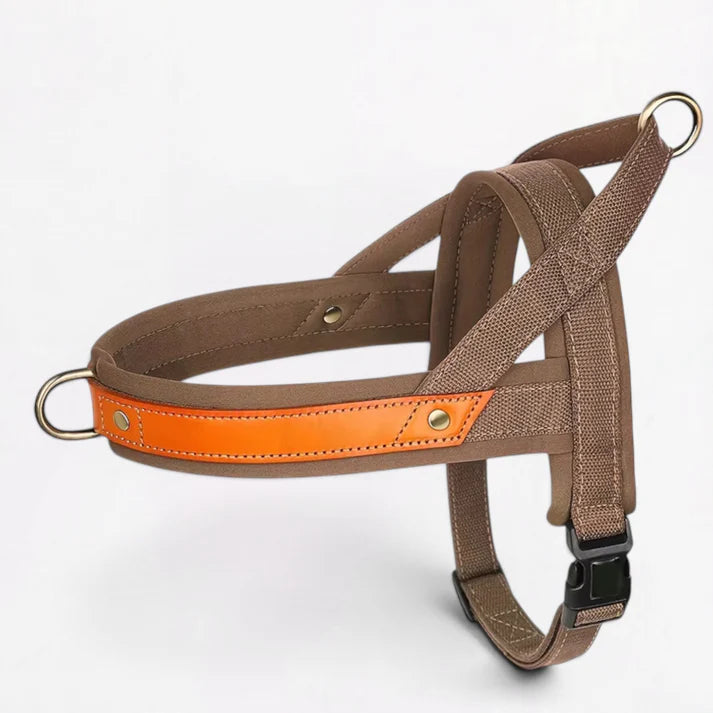Frenchie-Premium-No-Pull-Harness-Collar-Leash-Set.jpg