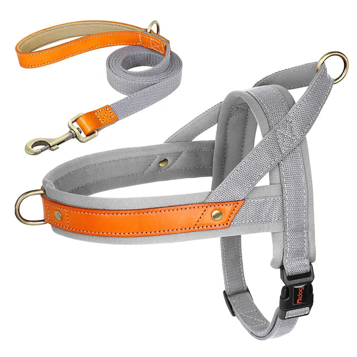 Frenchie-Premium-No-Pull-Harness-Collar-Leash-Set.jpg