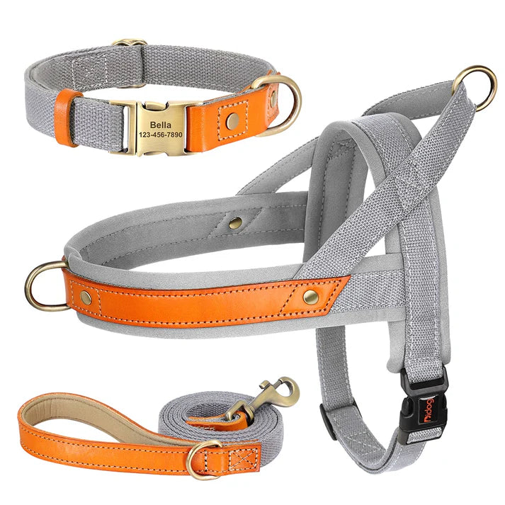Frenchie-Premium-No-Pull-Harness-Collar-Leash-Set.jpg