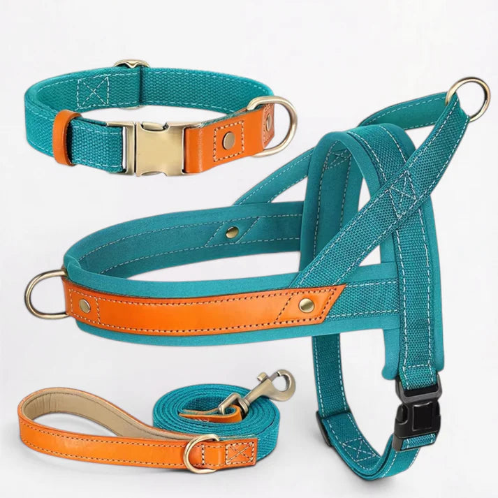 Frenchie-Premium-No-Pull-Harness-Collar-Leash-Set.jpg