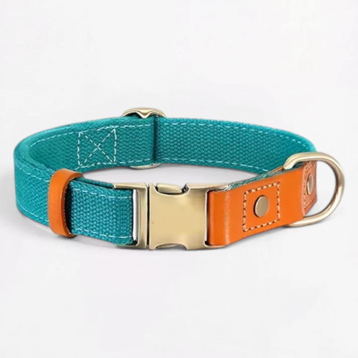 Frenchie-Premium-No-Pull-Harness-Collar-Leash-Set.jpg