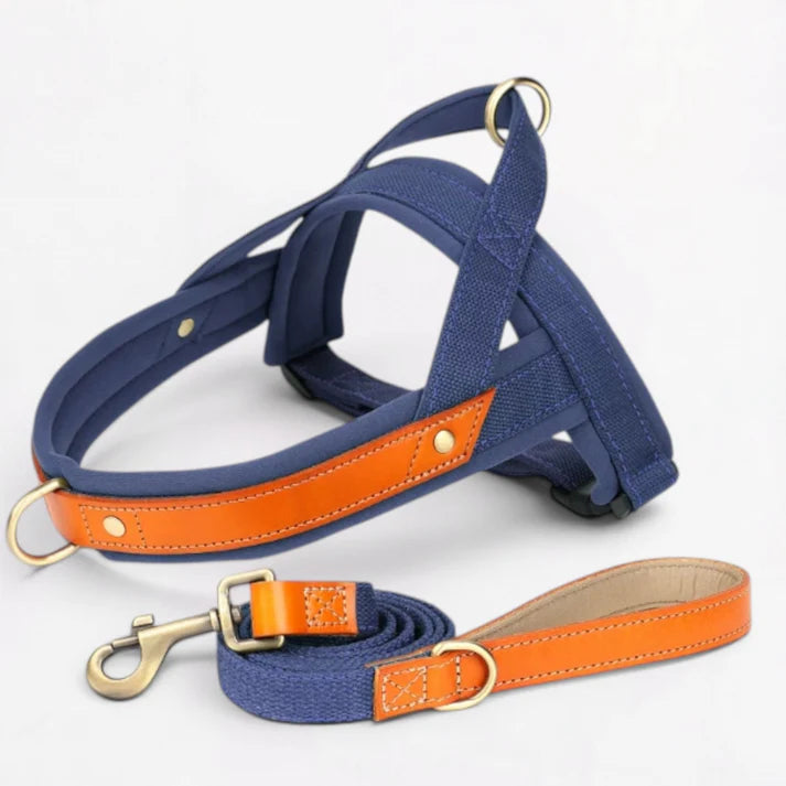 Frenchie-Premium-No-Pull-Harness-Collar-Leash-Set.jpg