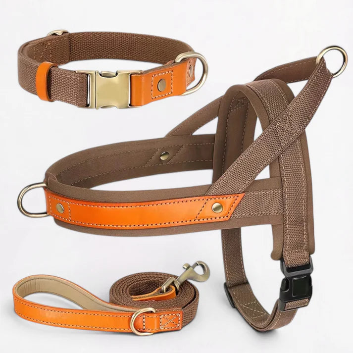 Frenchie-Premium-No-Pull-Harness-Collar-Leash-Set.jpg