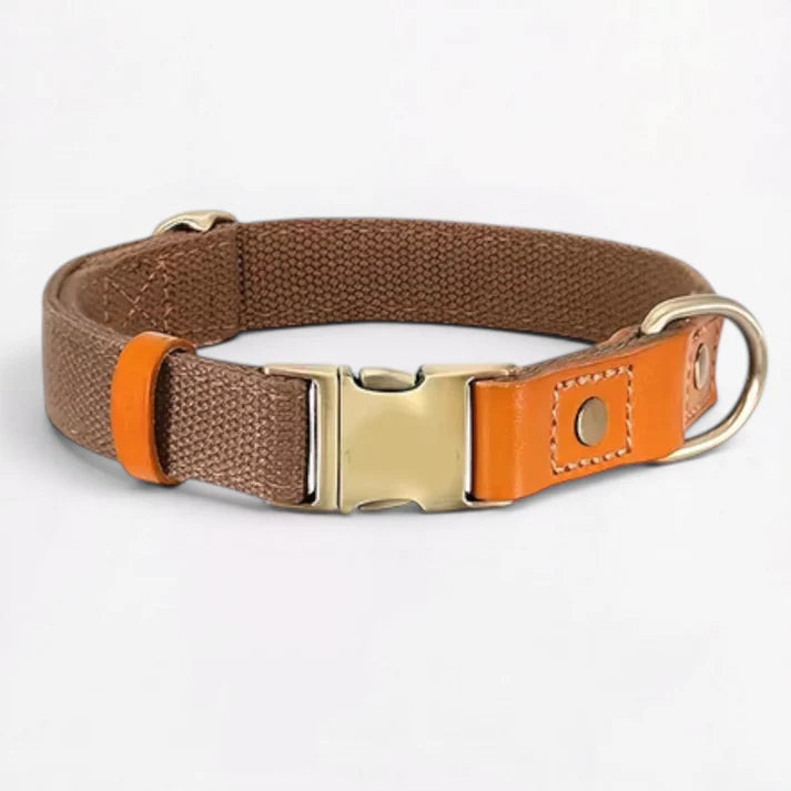Frenchie-Premium-No-Pull-Harness-Collar-Leash-Set.jpg