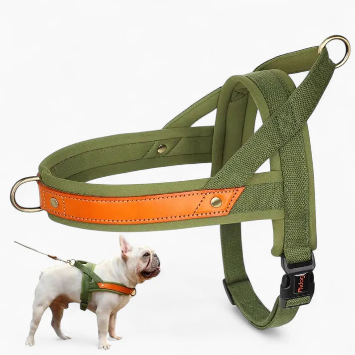 Frenchie-Premium-No-Pull-Harness-Collar-Leash-Set.jpg