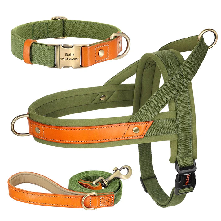 Frenchie-Premium-No-Pull-Harness-Collar-Leash-Set.jpg