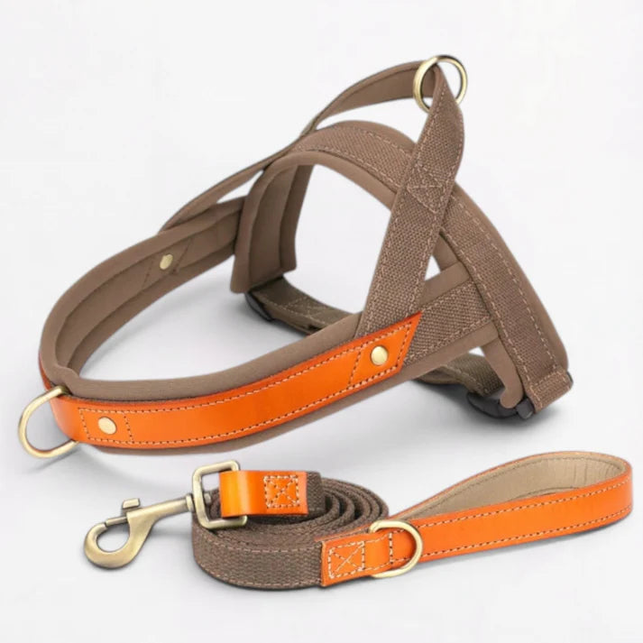 Frenchie-Premium-No-Pull-Harness-Collar-Leash-Set.jpg