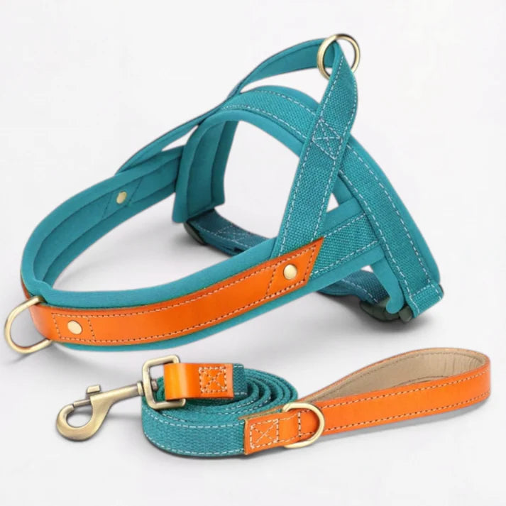 Frenchie-Premium-No-Pull-Harness-Collar-Leash-Set.jpg