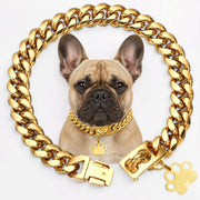 Frenchie-18K-Gold-Plated-Chain-Necklace.jpg