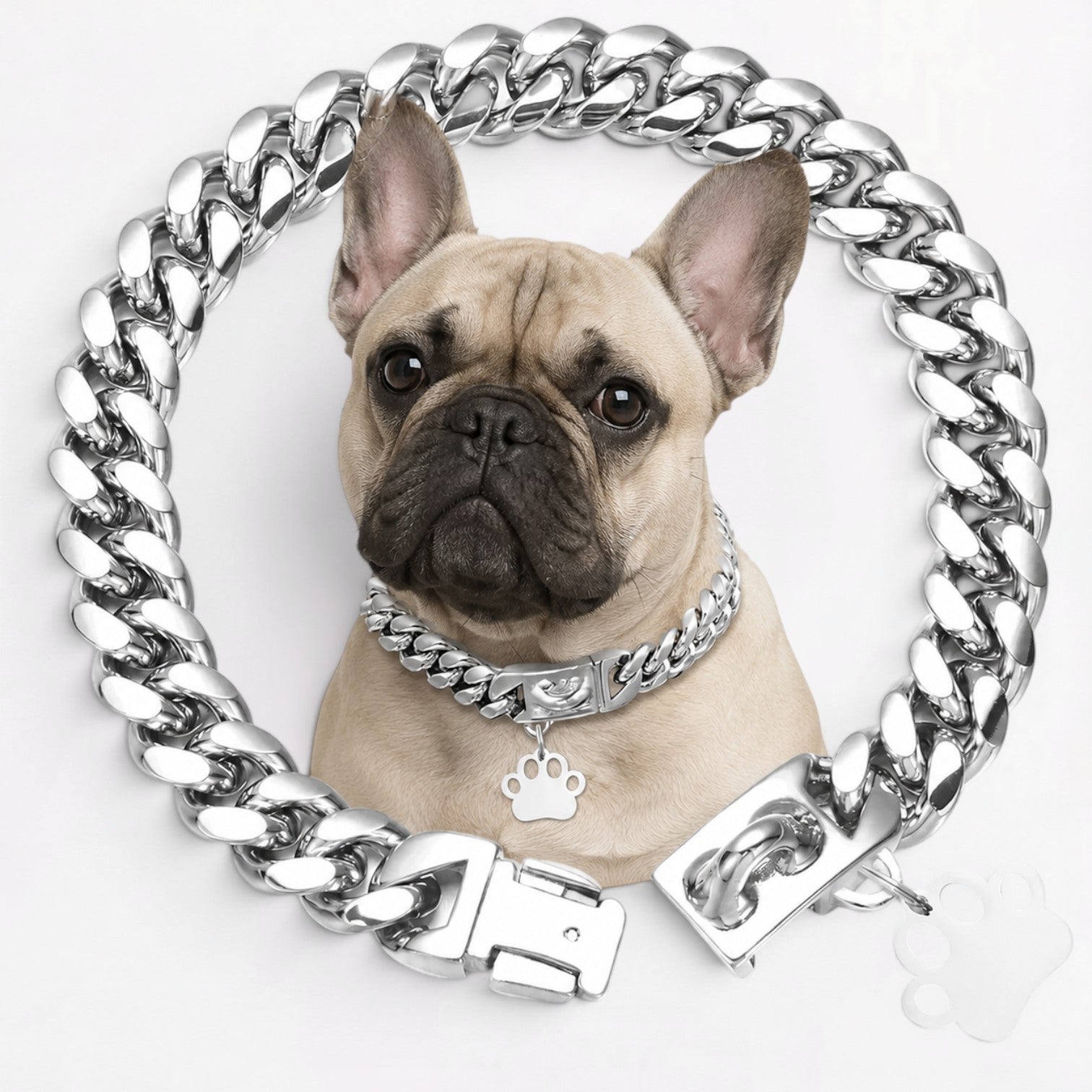 Frenchie-18K-Gold-Plated-Chain-Necklace.jpg