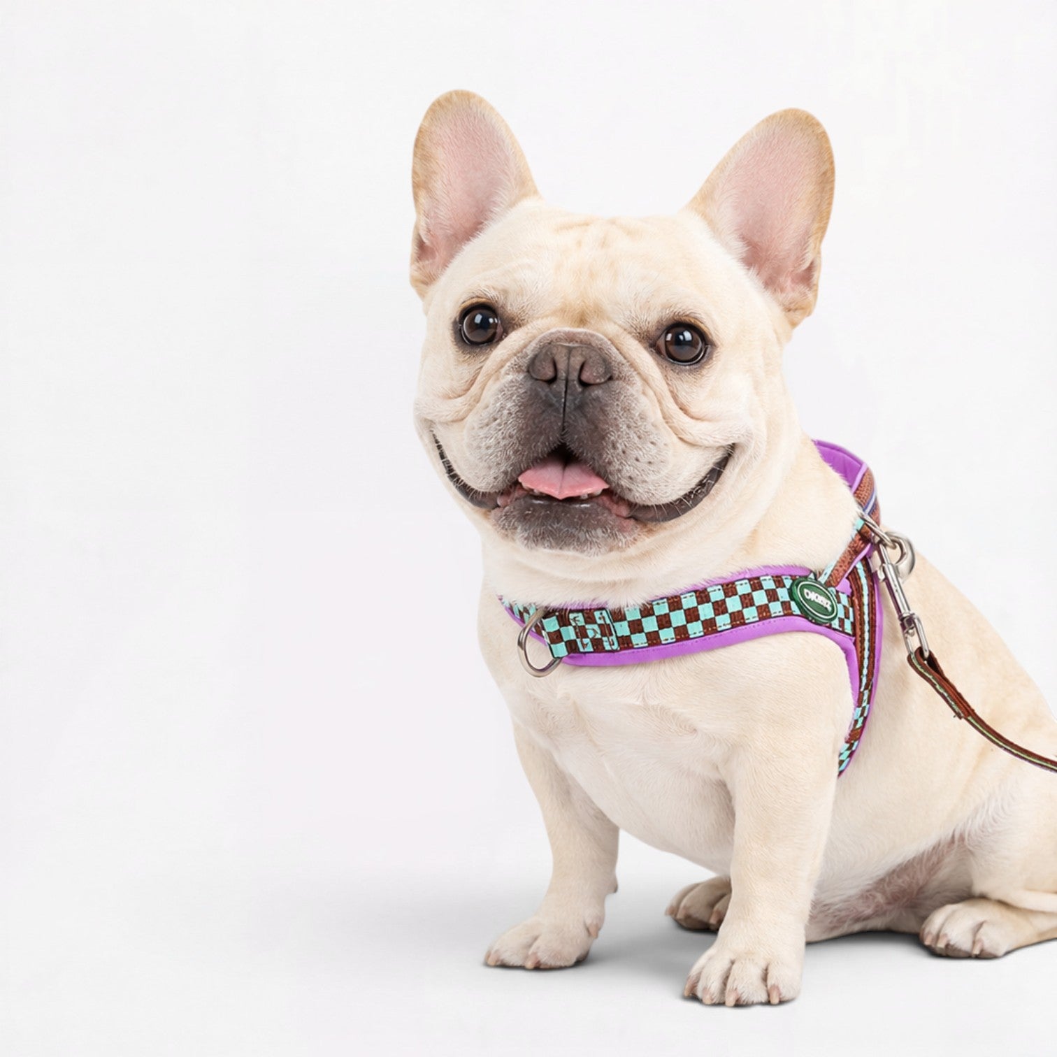 Frenchie-Adjustable-Checkered-Padded-Harness.jpg