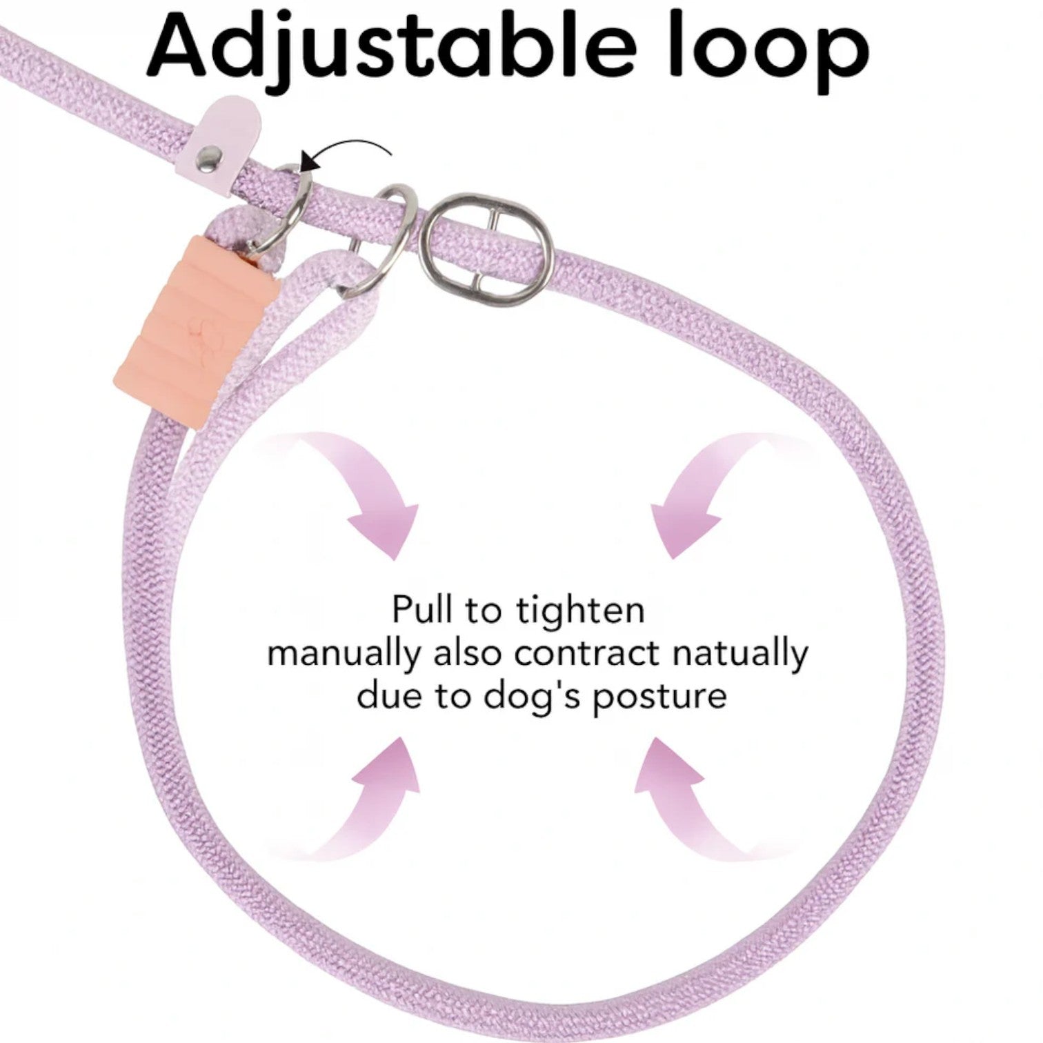 Frenchie-Adjustable-Cloud-Bubble-Leash.jpg
