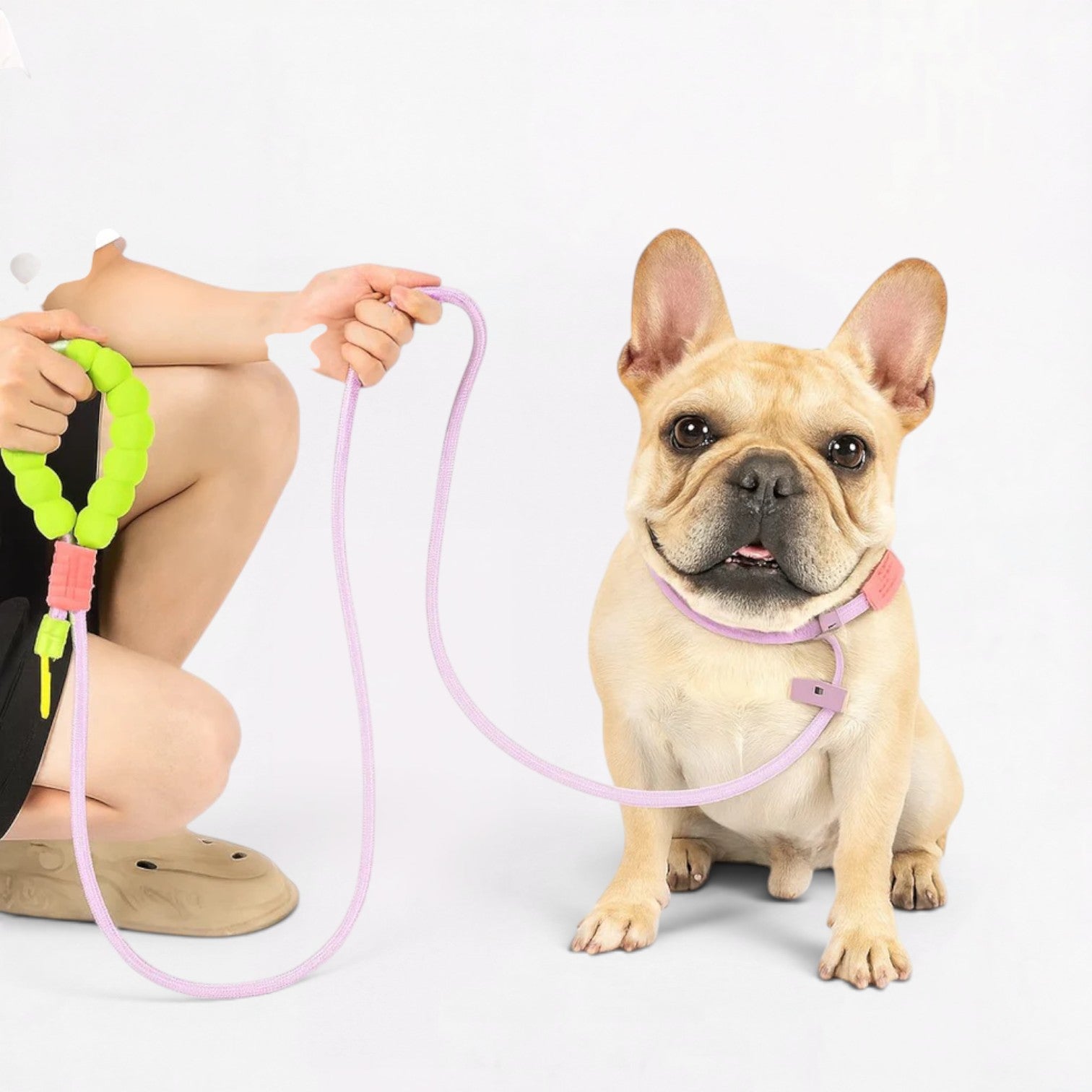 Frenchie-Adjustable-Cloud-Bubble-Leash.jpg