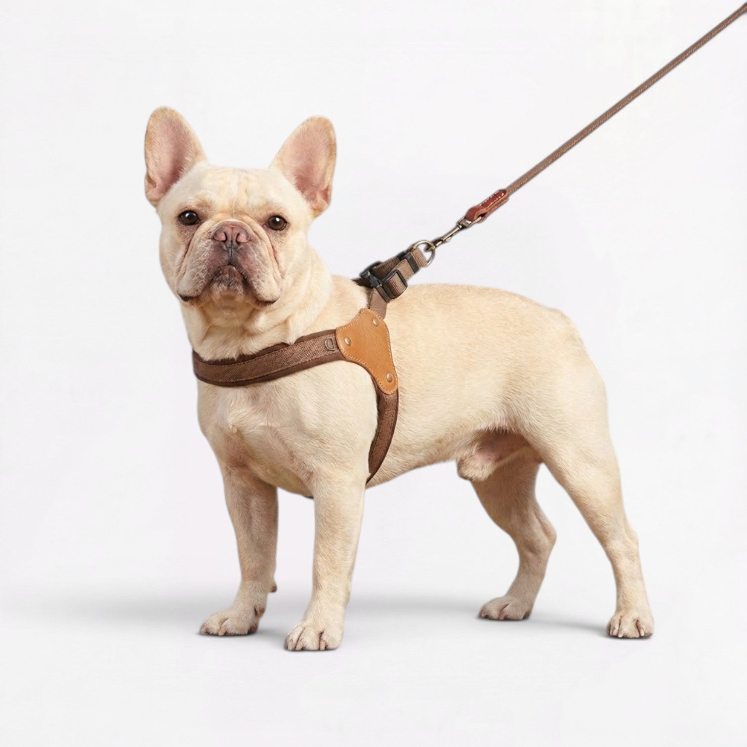 Frenchie-Adjustable-Harness-Leash-Set.jpg