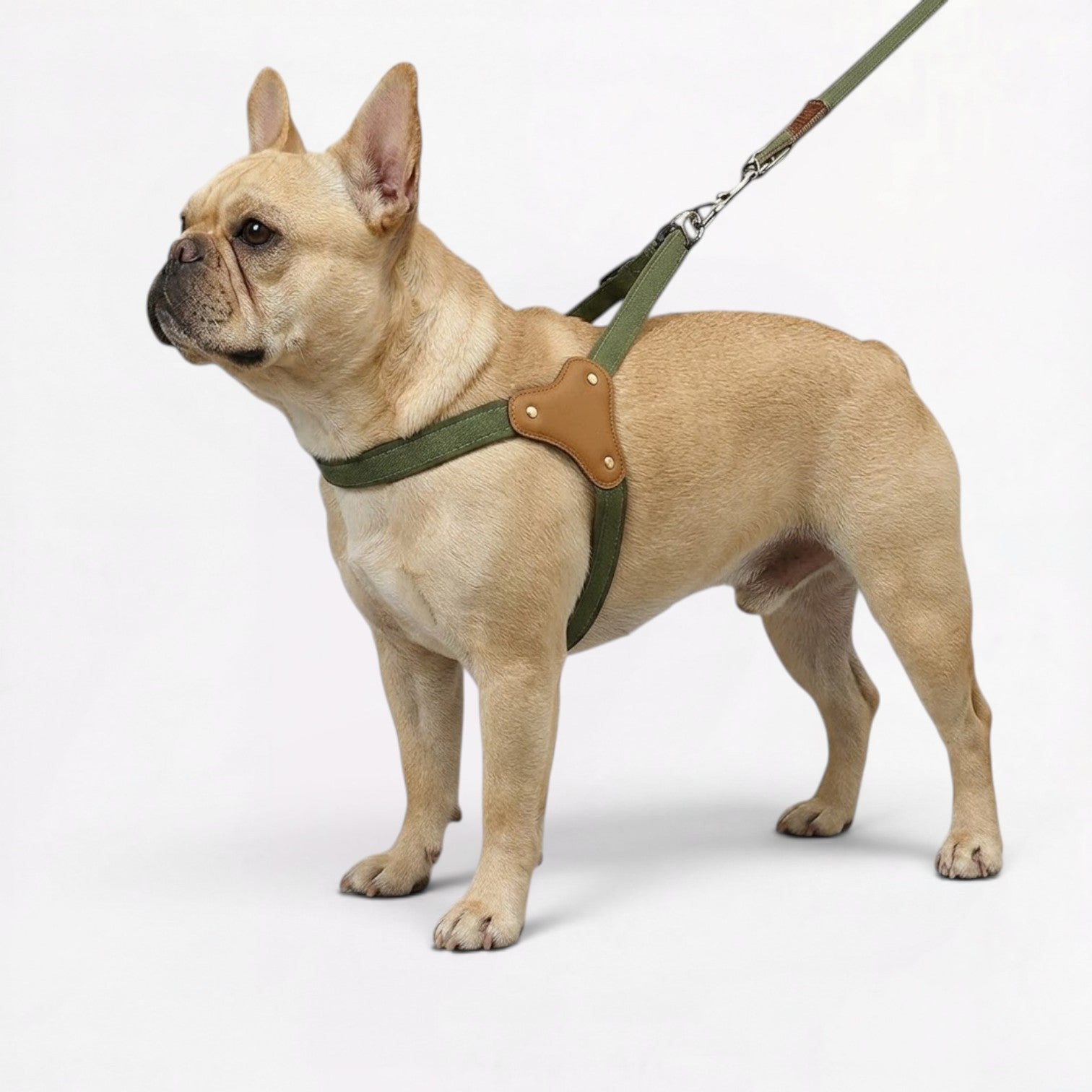 Frenchie-Adjustable-Harness-Leash-Set.jpg