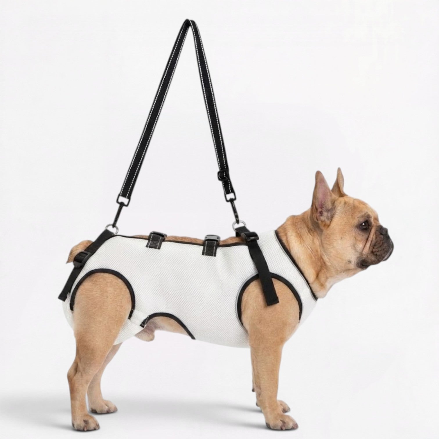 Frenchie-Adjustable-Lift-Support-Harness.jpg