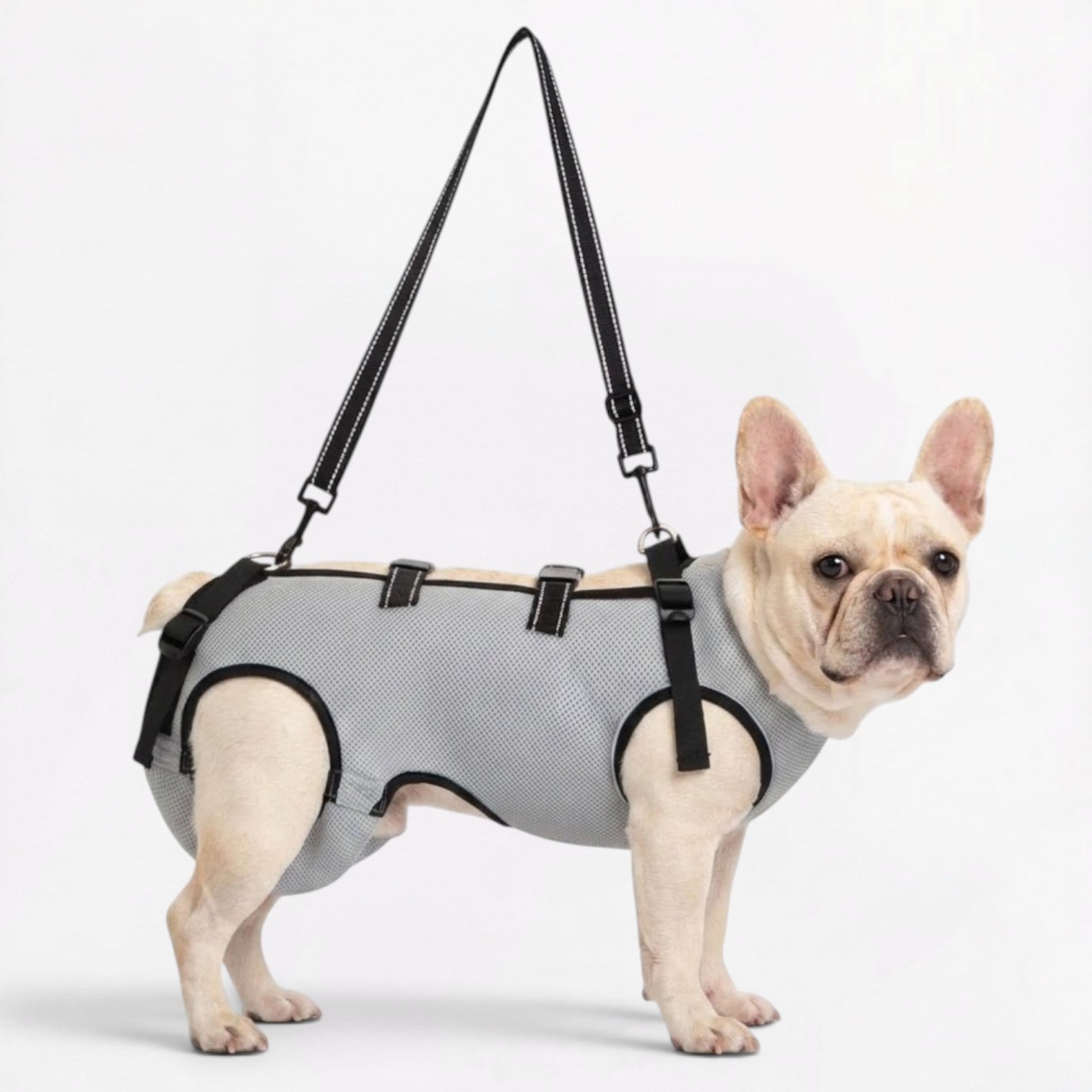 Frenchie-Adjustable-Lift-Support-Harness.jpg
