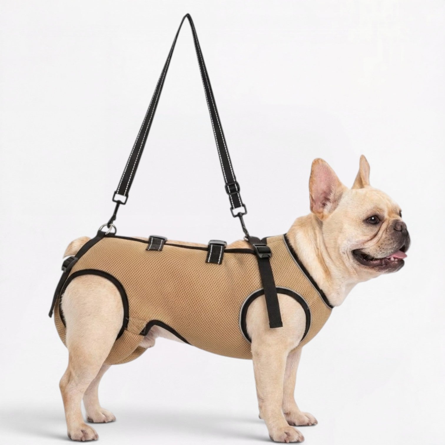 Frenchie-Adjustable-Lift-Support-Harness.jpg
