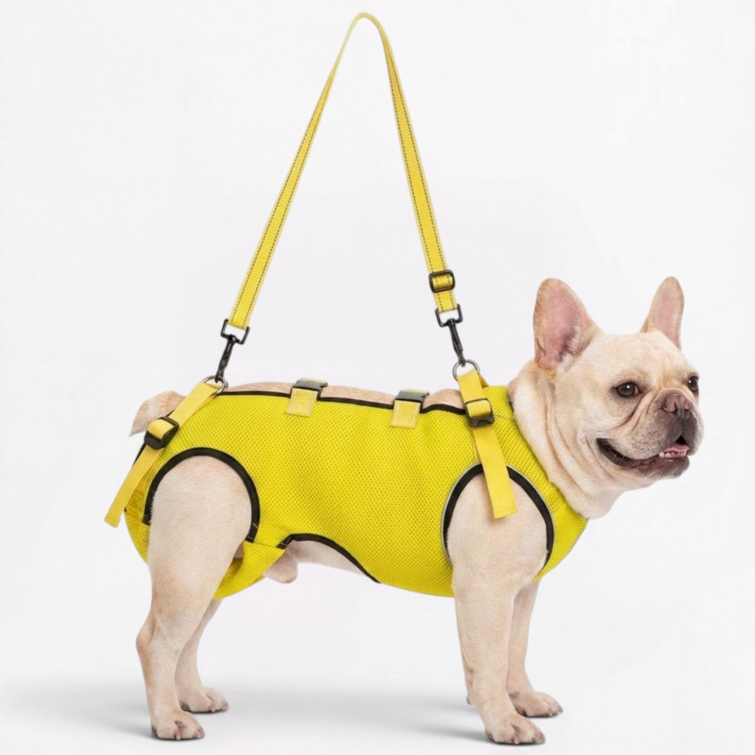 Frenchie-Adjustable-Lift-Support-Harness.jpg