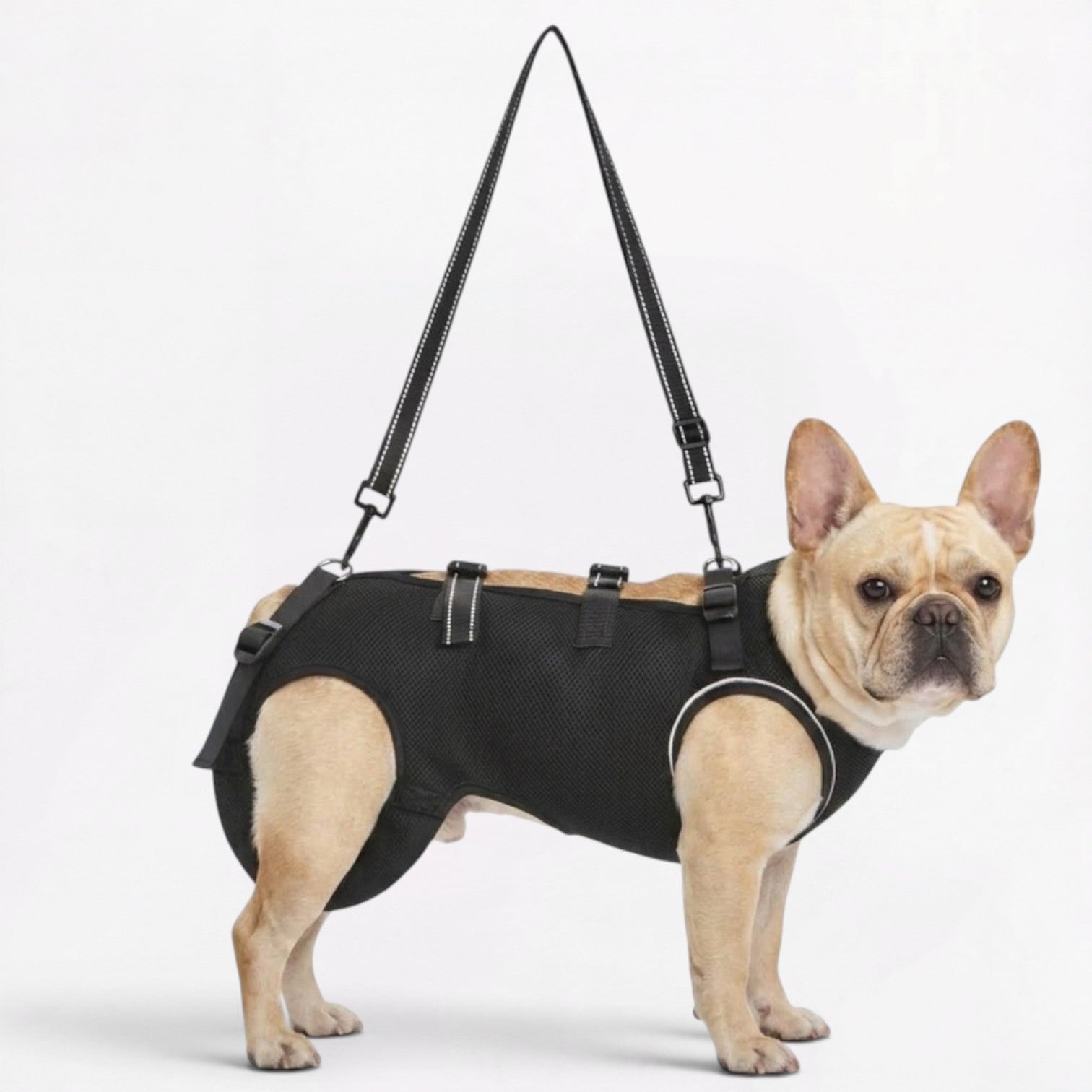 Frenchie-Adjustable-Lift-Support-Harness.jpg