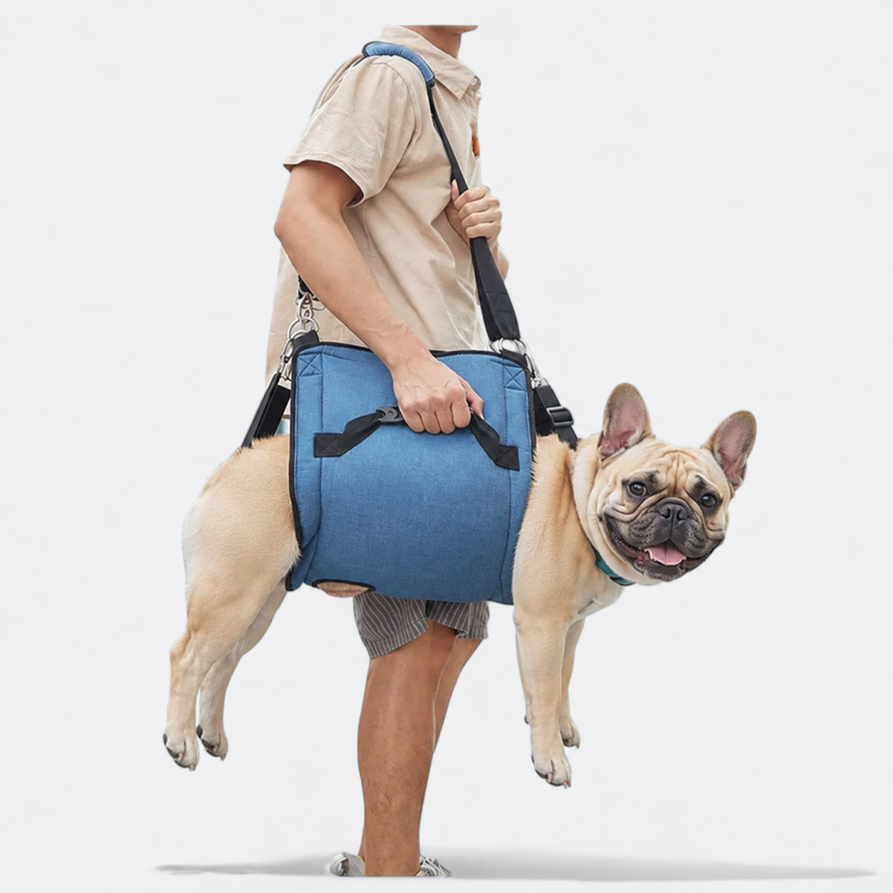 Frenchie-Adjustable-Lift-Support-Harness.jpg