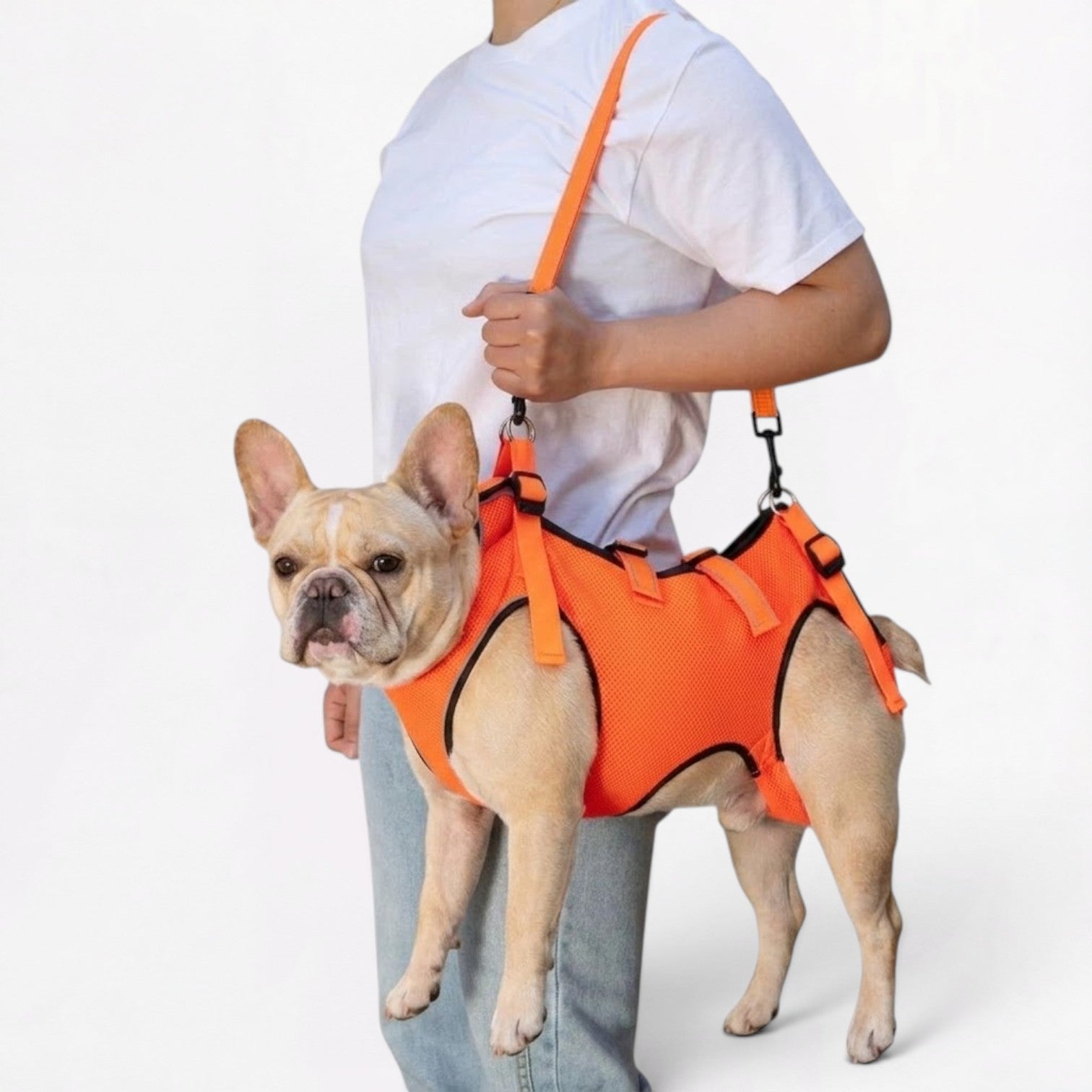 Frenchie-Adjustable-Lift-Support-Harness.jpg