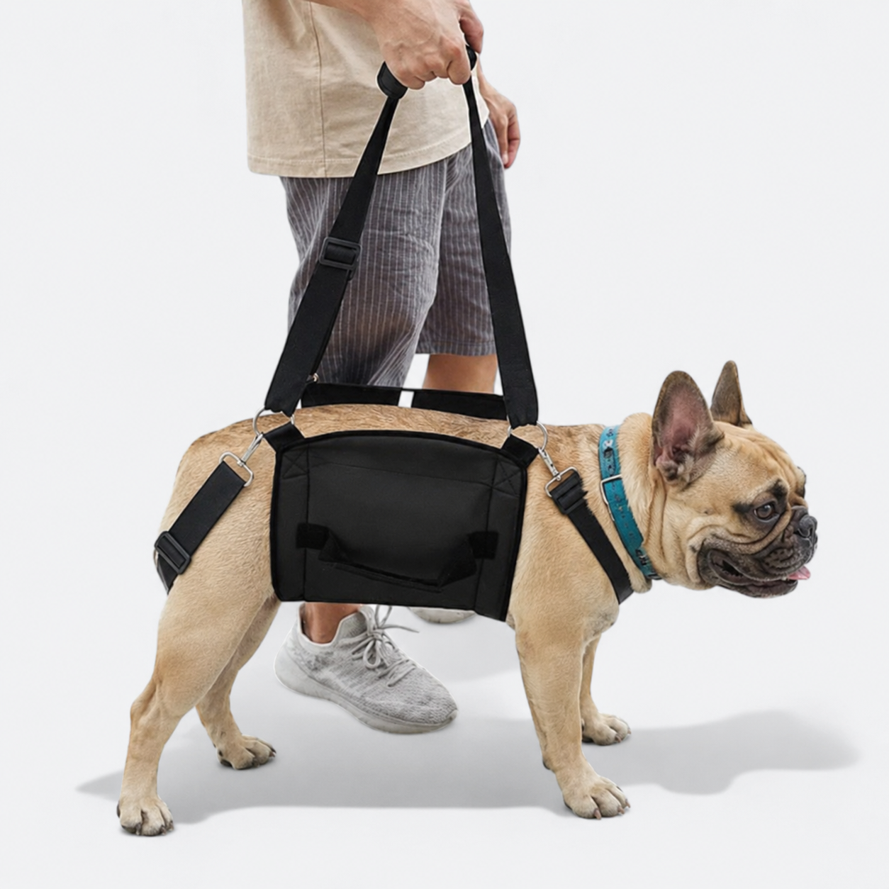 Frenchie-Adjustable-Lift-Support-Harness.jpg