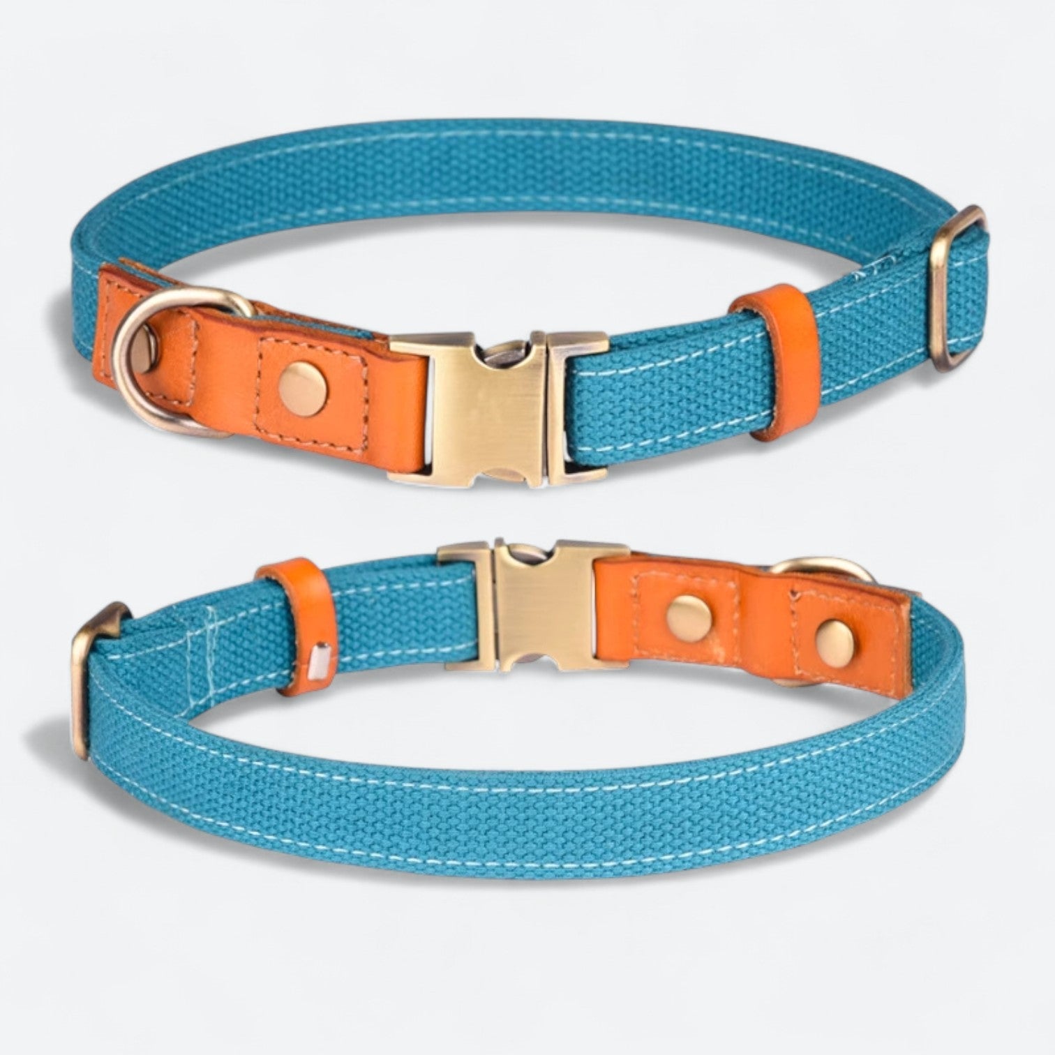 Frenchie-Anti-Lost-Collar-Leash-Set.jpg