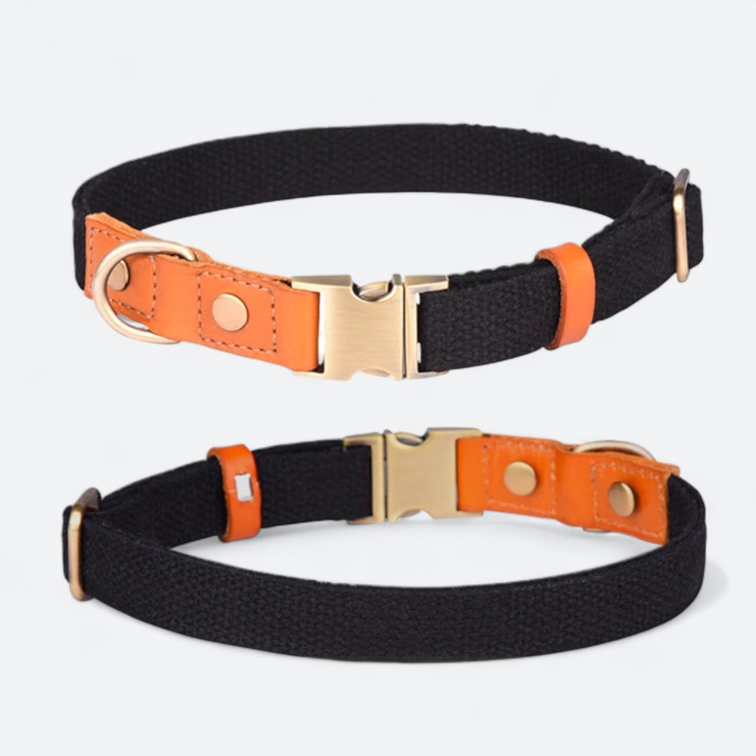 Frenchie-Anti-Lost-Collar-Leash-Set.jpg
