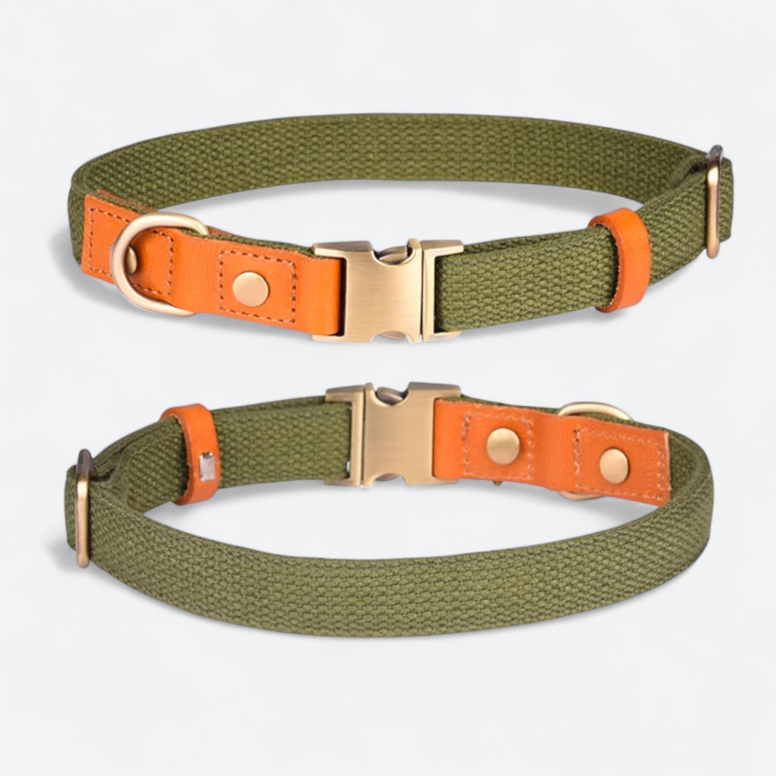 Frenchie-Anti-Lost-Collar-Leash-Set.jpg