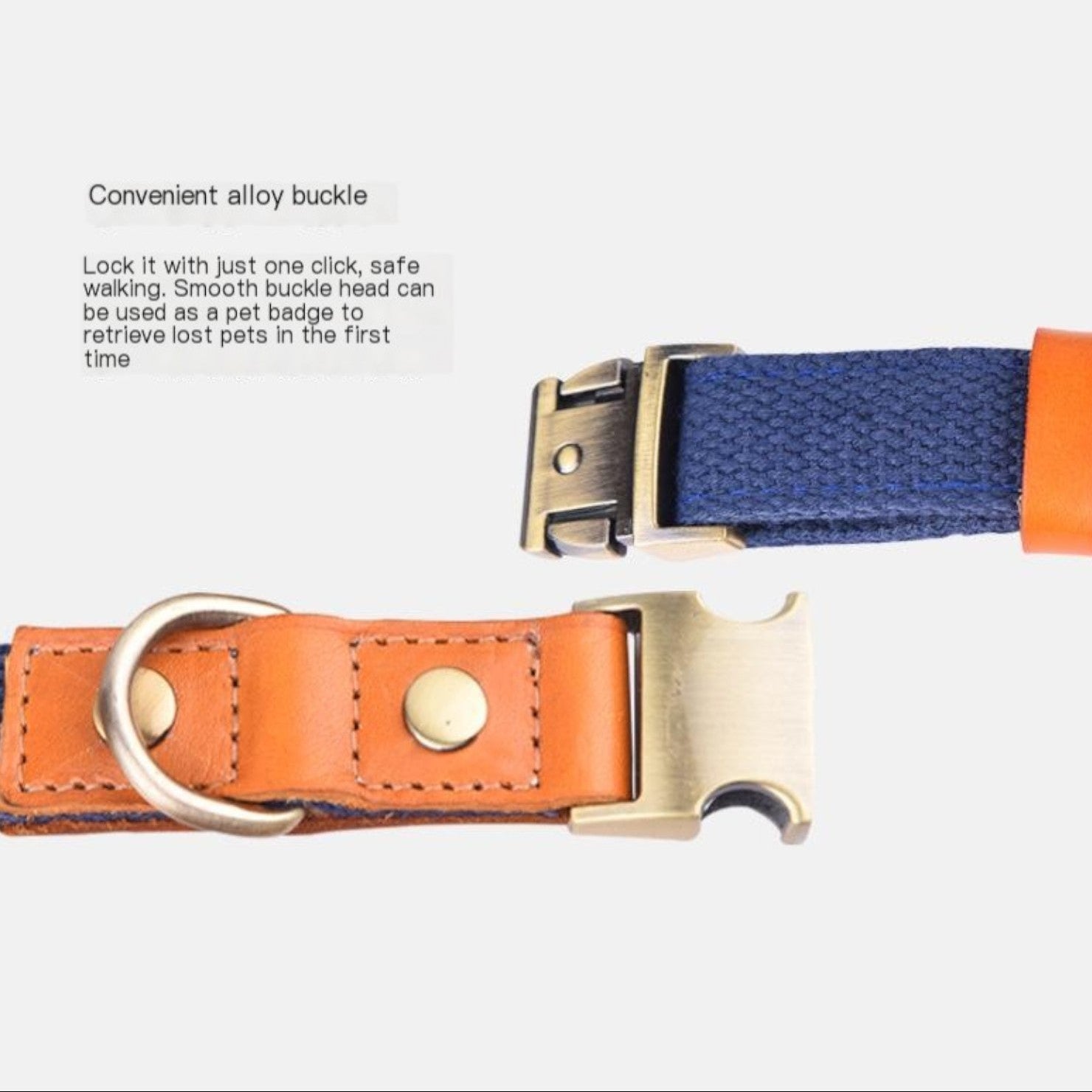 Frenchie-Anti-Lost-Collar-Leash-Set.jpg