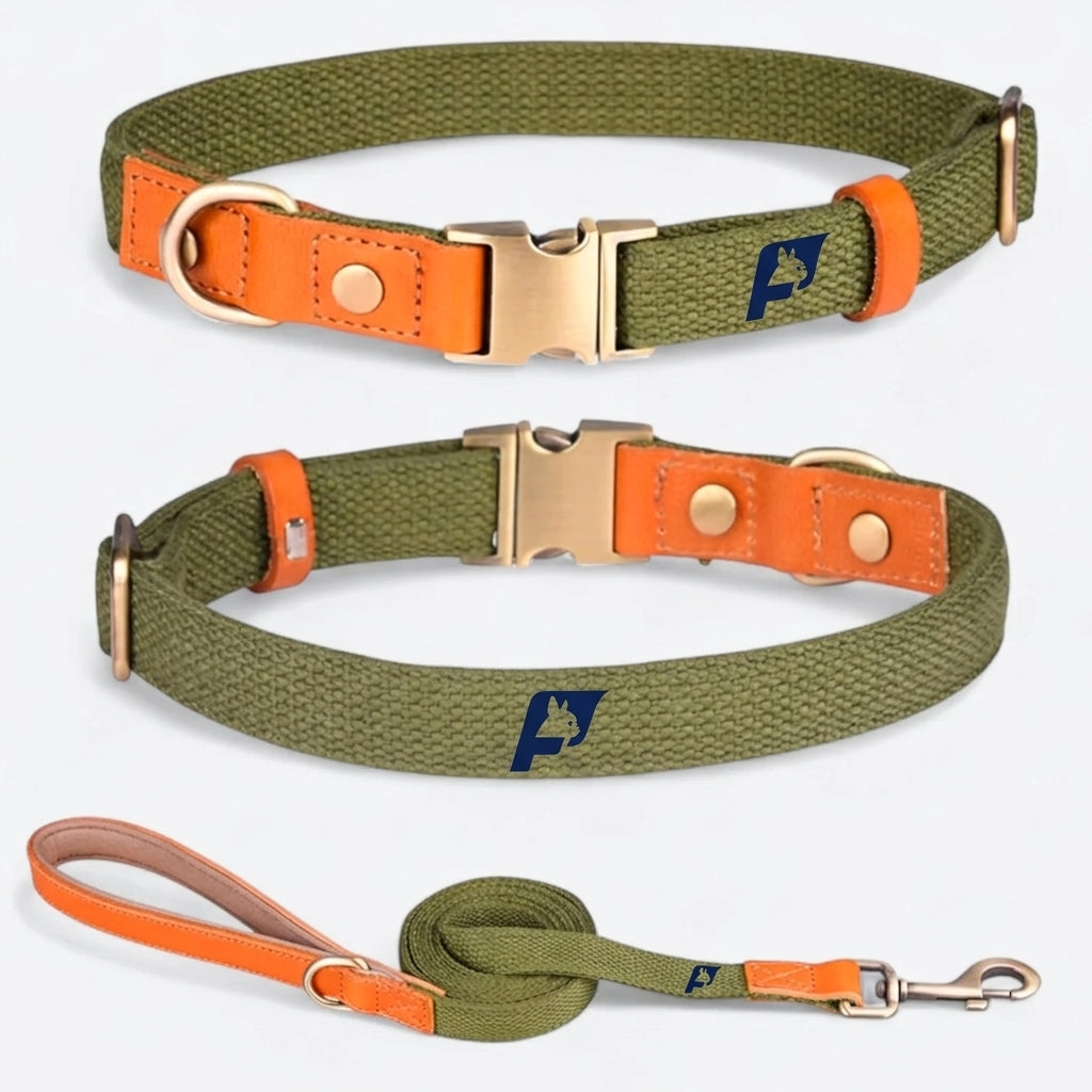 Frenchie-Anti-Lost-Collar-Leash-Set.jpg