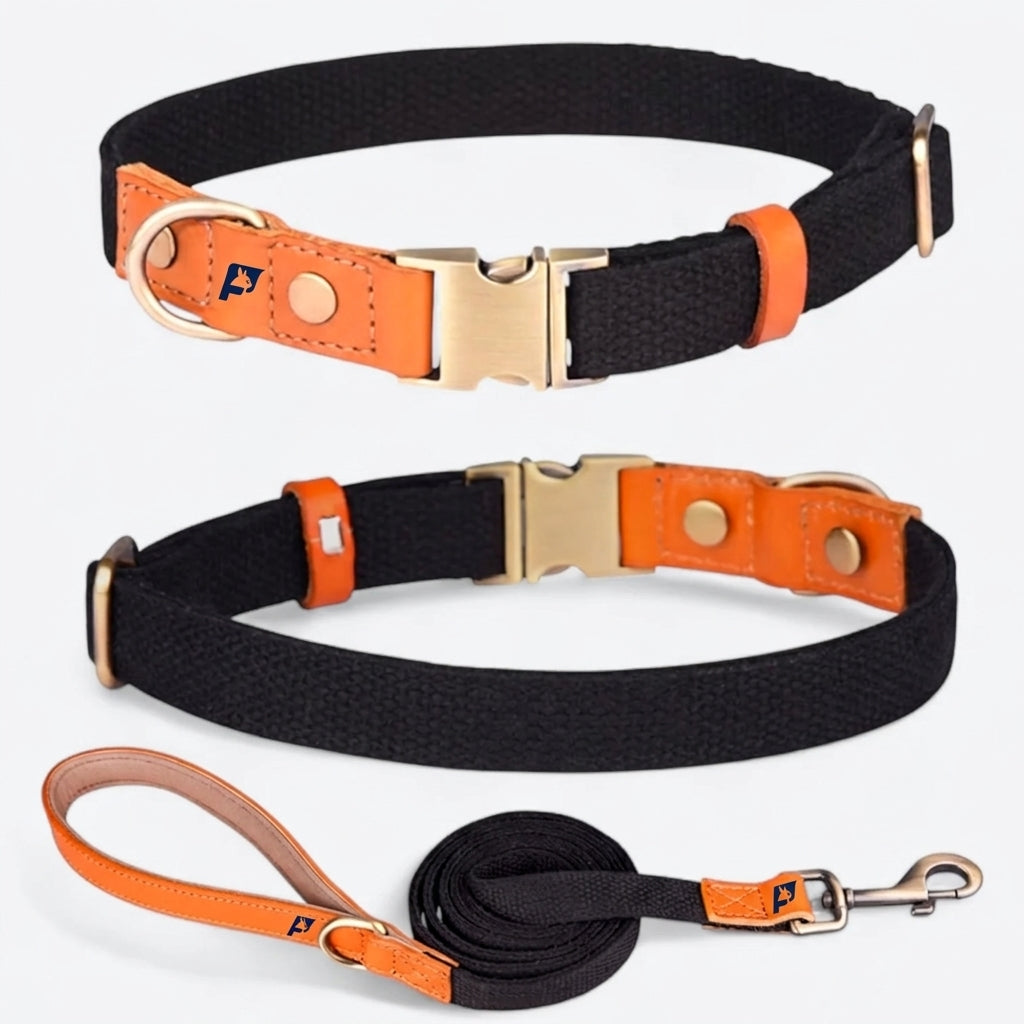 Frenchie-Anti-Lost-Collar-Leash-Set.jpg
