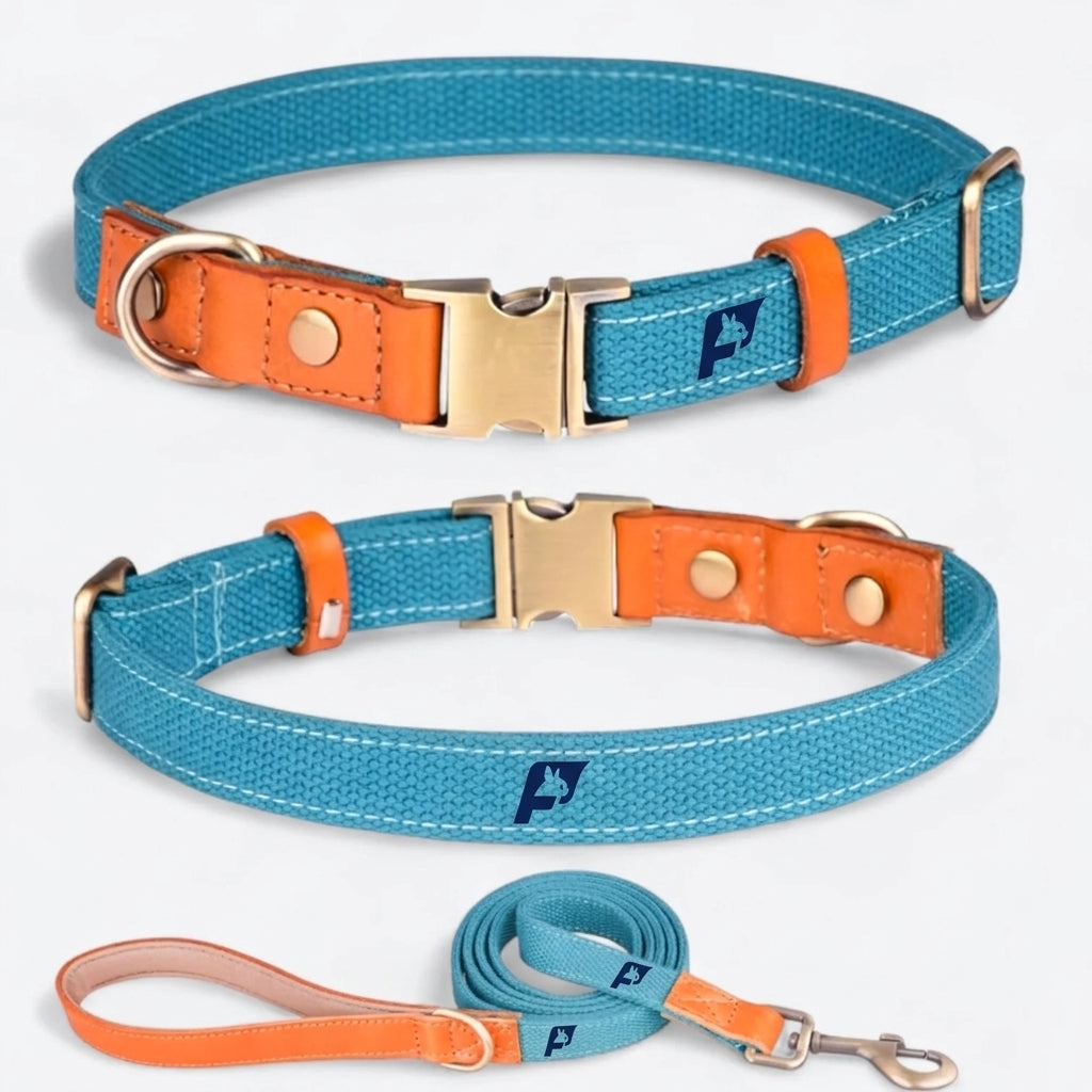 Frenchie-Anti-Lost-Collar-Leash-Set.jpg
