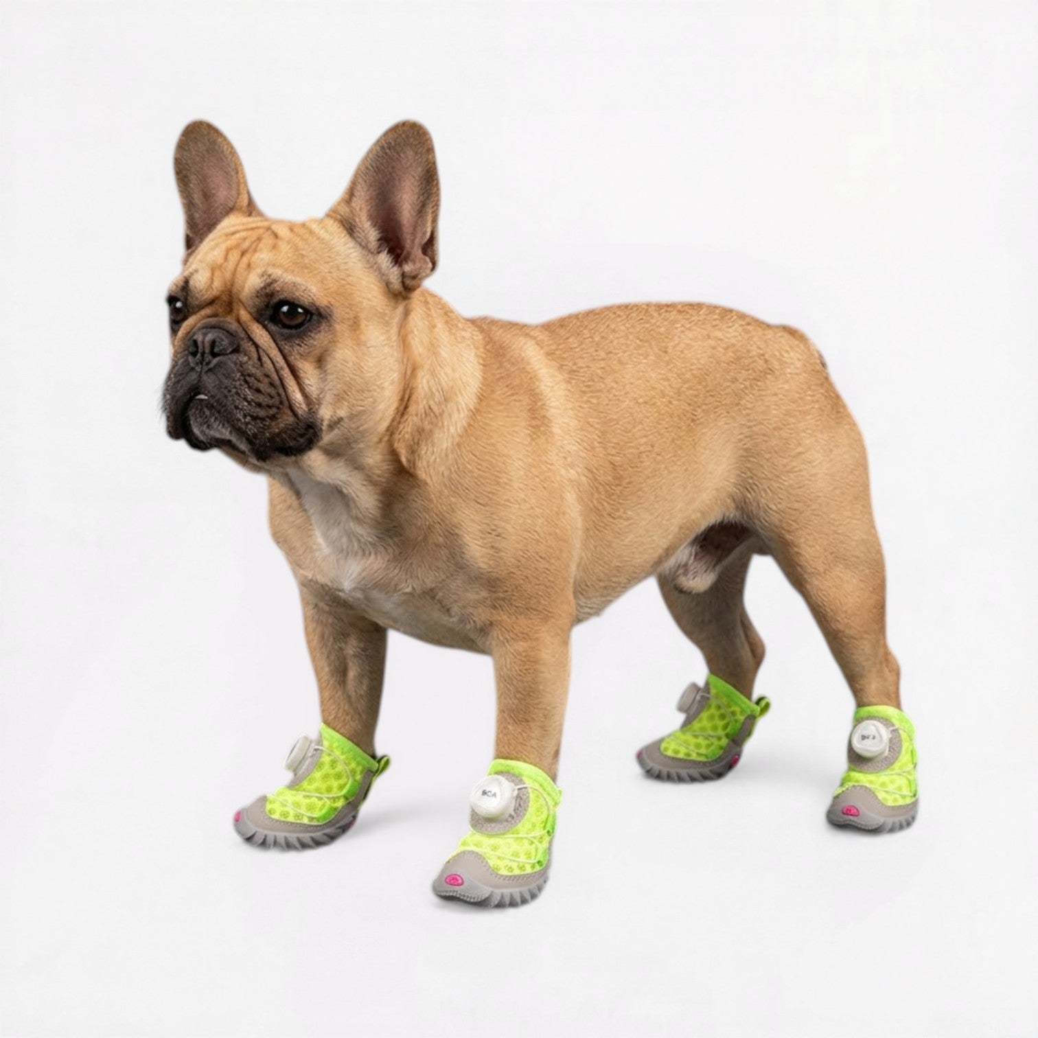 Frenchie-Breathable-Summer-Dog-Shoes.jpg