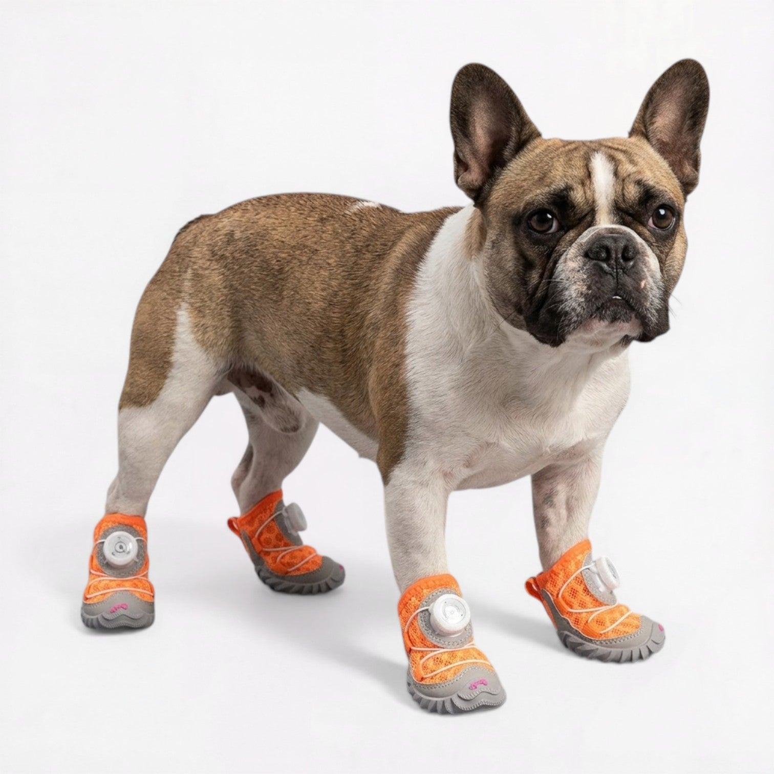 Frenchie-Breathable-Summer-Dog-Shoes.jpg