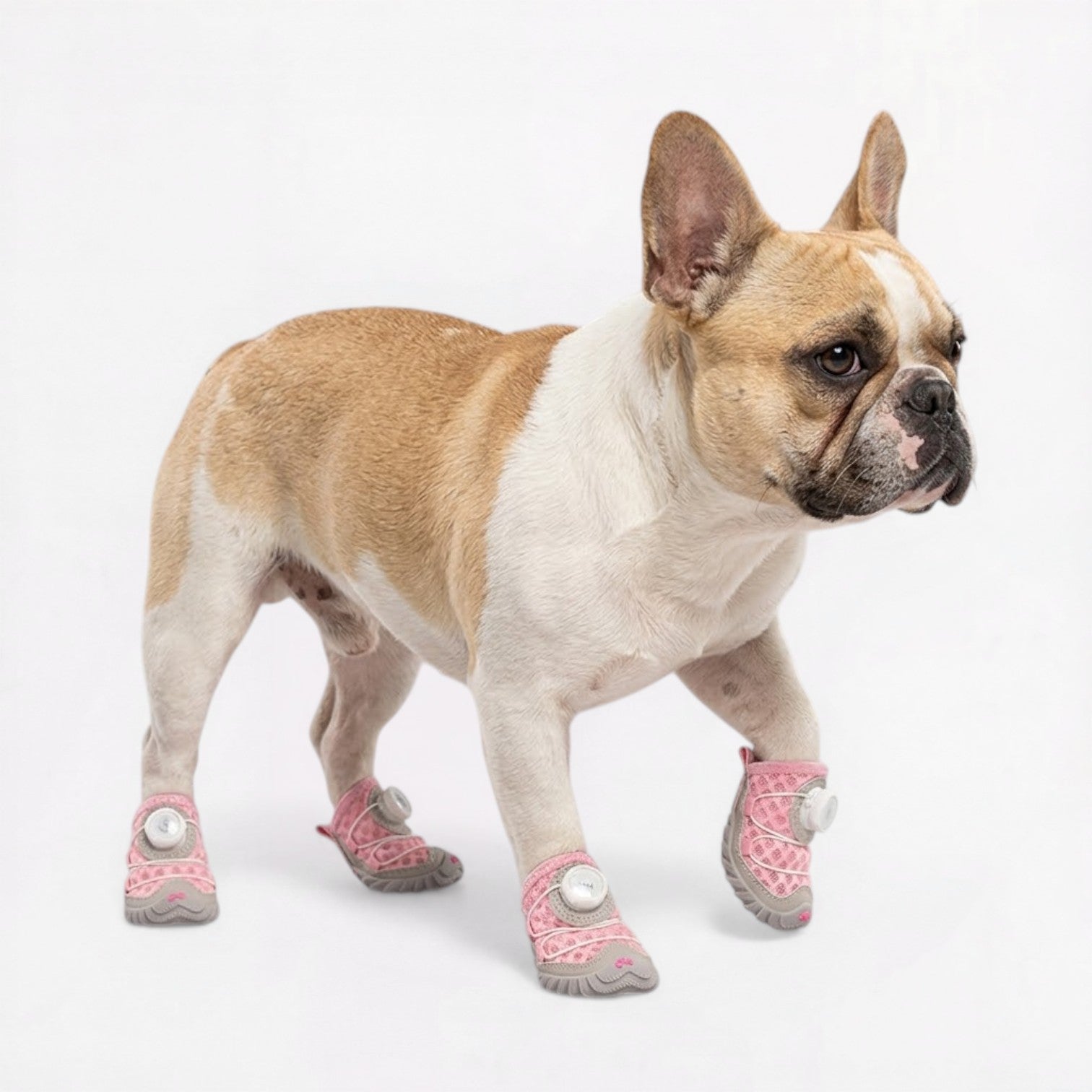 Frenchie-Breathable-Summer-Dog-Shoes.jpg