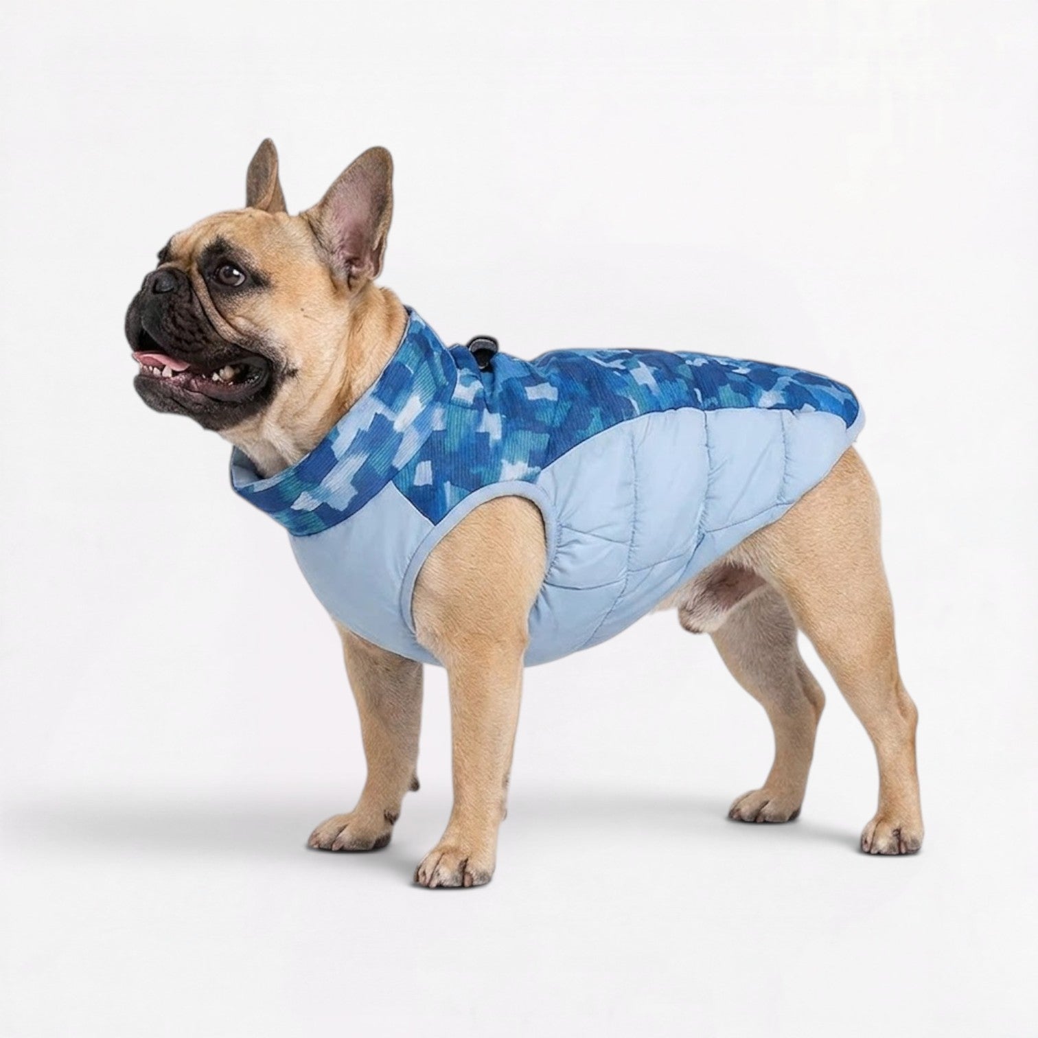 Frenchie-Camo-Cotton-Jacket.jpg