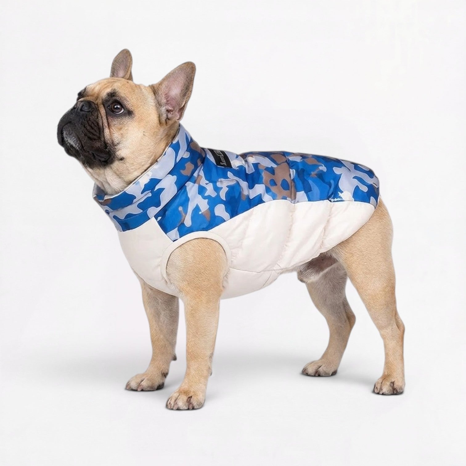 Frenchie-Camo-Cotton-Jacket.jpg
